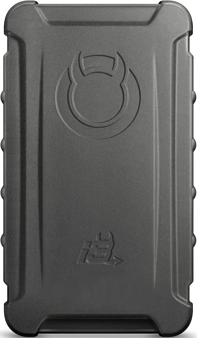 INTUNE3 PLATINUM,96-20 FORD VEHICLES,GAS