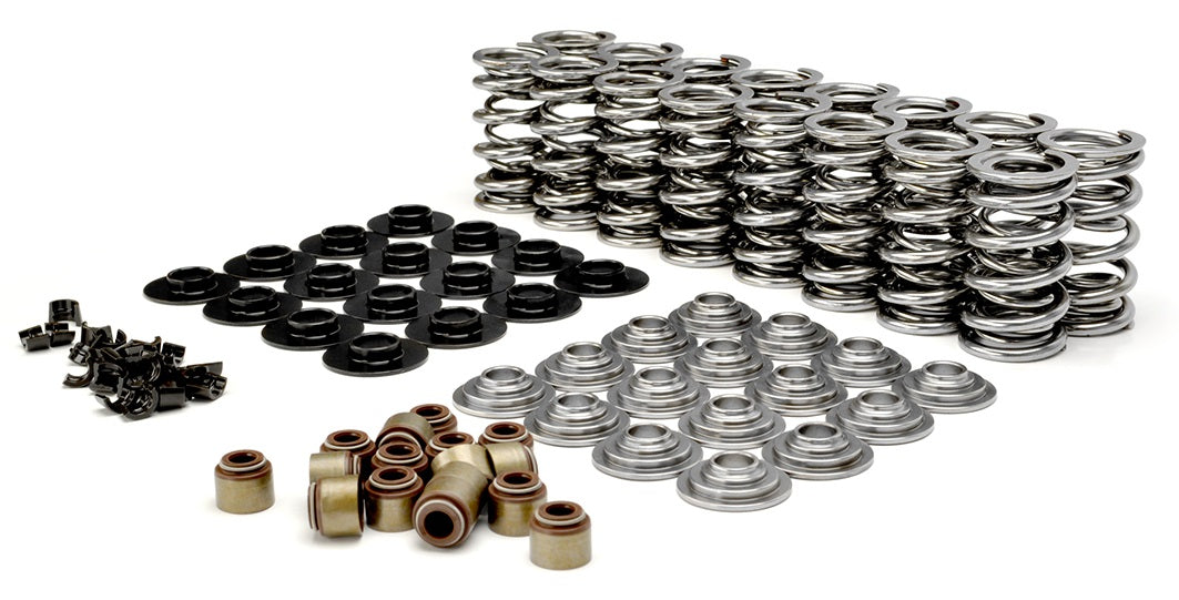 KIT, DUAL VALVE SPRING, TS, LS TYPE