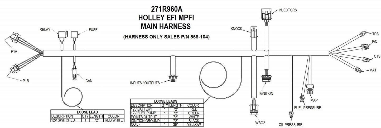 HP EFI ECU & HARNESS KIT,FORD V8,BOSCH