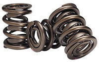 VALVE SPRINGS (16),SBC,HI-PERF,DUAL,675"