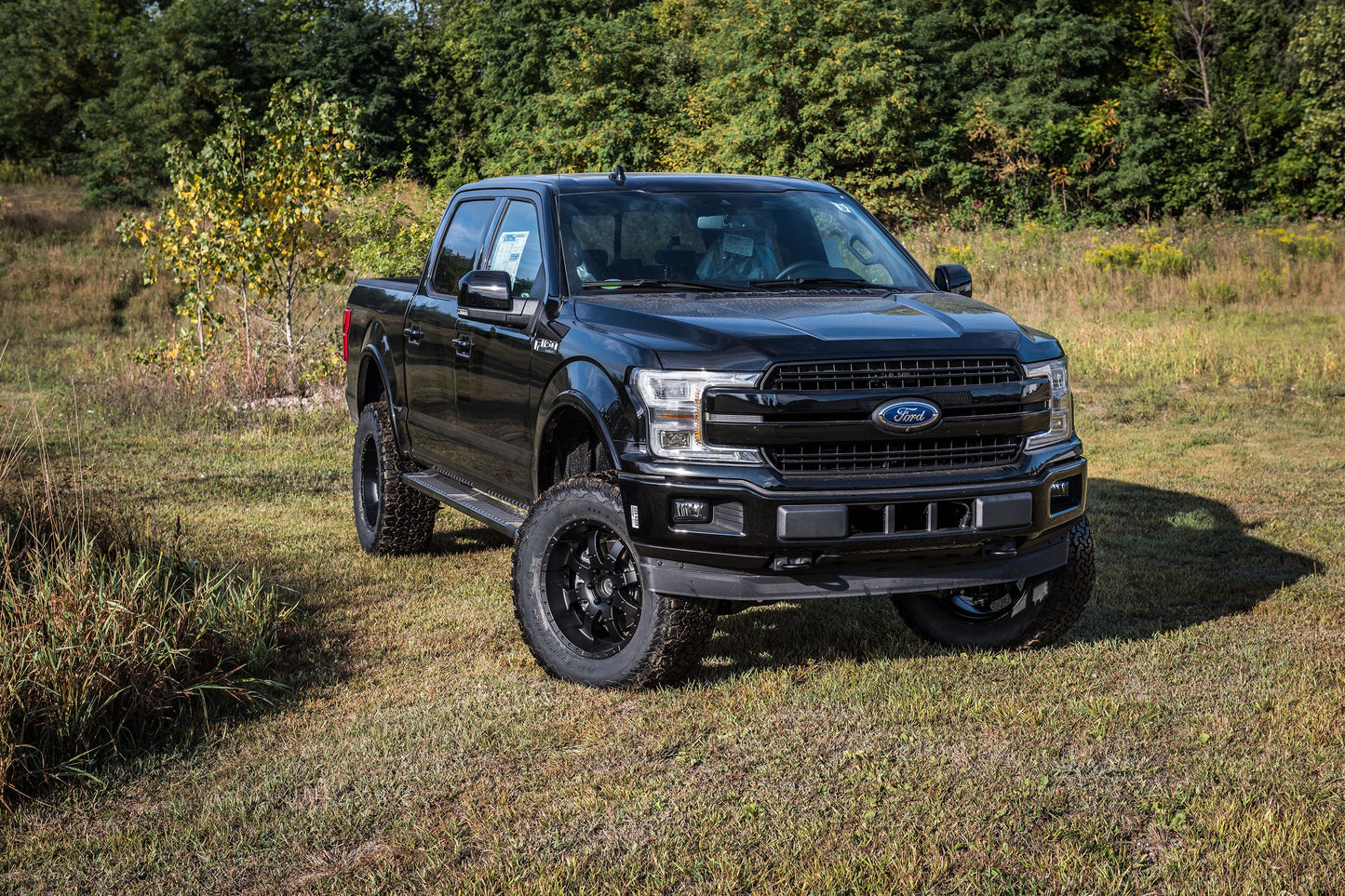 BDS 2015-2020 F150 4WD 6" LIFT KIT,NX2 SHOCKS