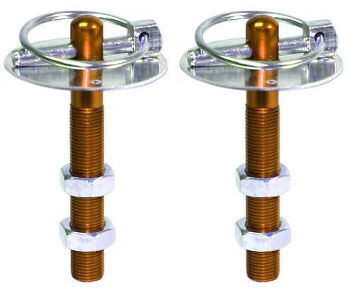 HOOD PIN KIT,W/CLIP & PLATE,GOLD,PAIR