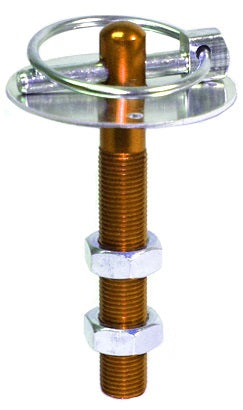 HOOD PIN KIT,W/CLIP & PLATE,GOLD,BULK