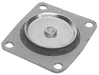 30 CC PUMP,DIAPHRAGM,(2)