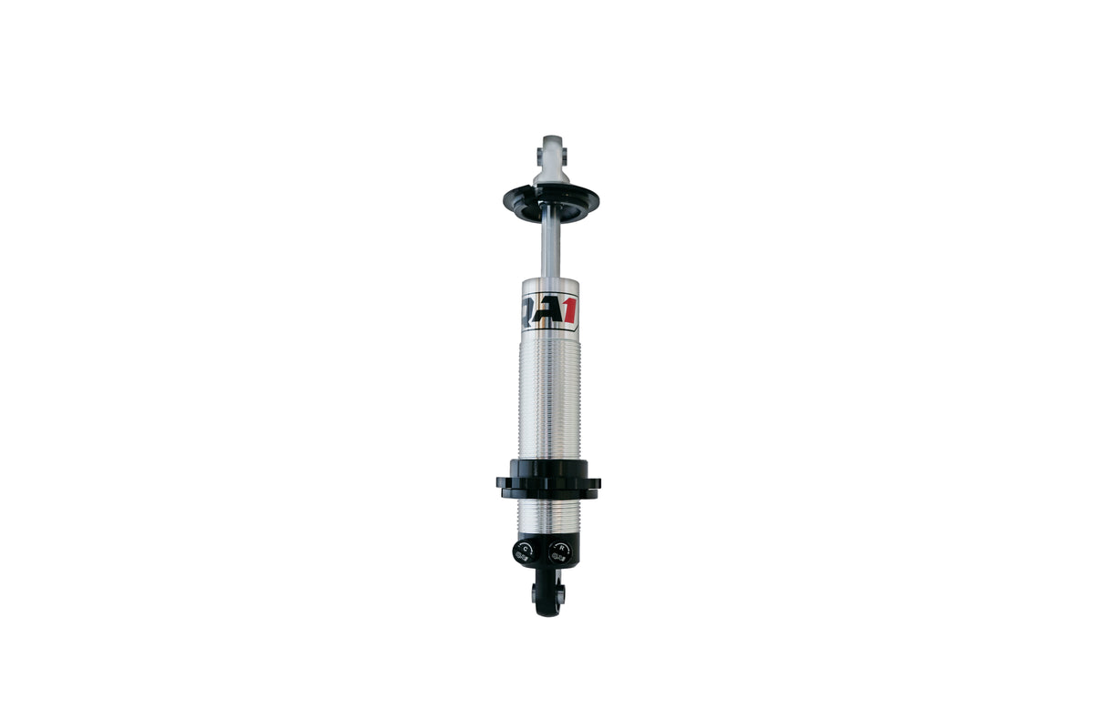 SHOCK,PROMA STAR C-O D-ADJ 10.13,14.00 EYE-B/EYE-B