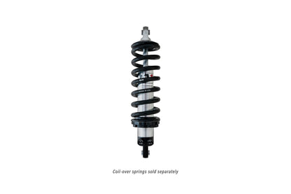 SHOCK,PROMA STAR C-O D-ADJ 11.13,15.00 EYE-B/EYE-B