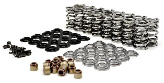 KIT, DUAL VALVE SPRING, TS, LS TYPE