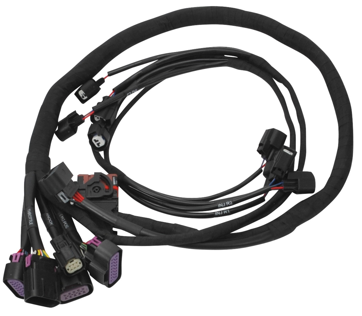 PRO FLO 4 PLUS FUEL INJECTION SYSTEM FORD COYOTE (2011-2014) DBW VCC