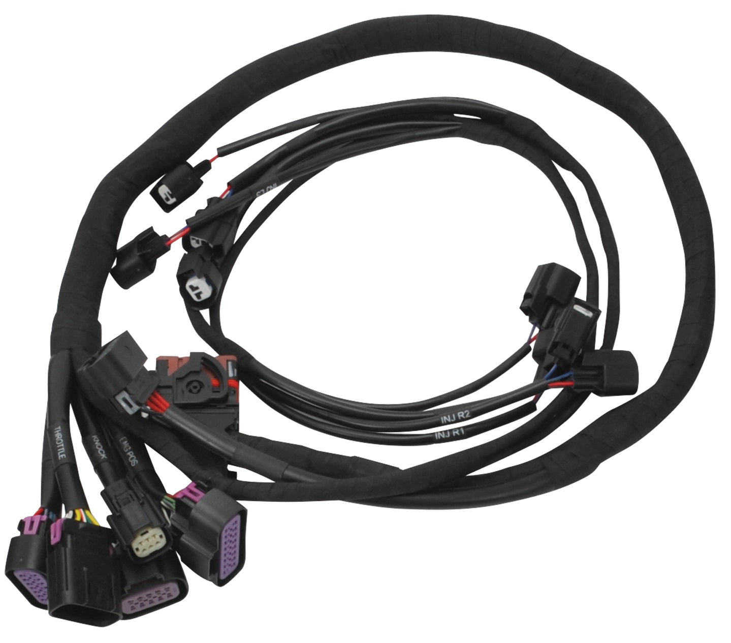 PRO FLO 4 PLUS FUEL INJECTION SYSTEM CHEVY LS 54X/24X CRANK RELUCTOR DBW