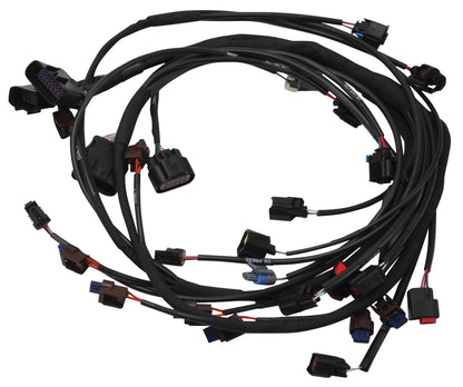 PRO FLO 4 PLUS FUEL INJECTION SYSTEM FORD COYOTE (2015.5-17) DBW VCC