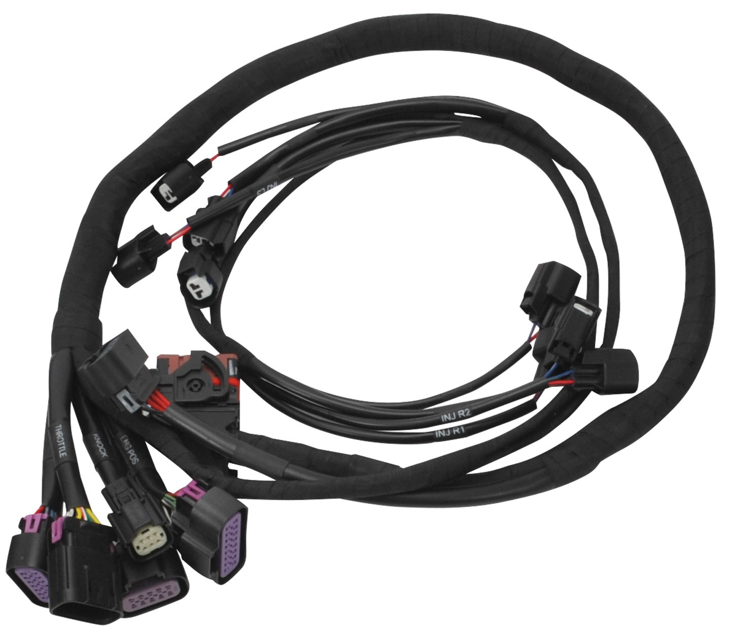 PRO FLO 4 PLUS FUEL INJECTION SYSTEM FORD COYOTE (2015.5-17) DBW VCC