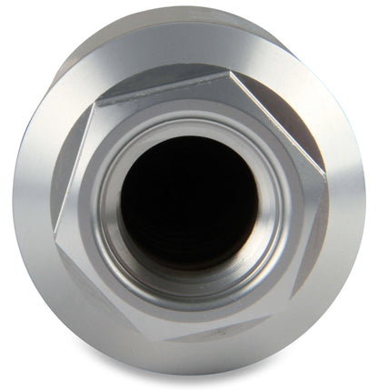 BILLET FF,100 GPH,100 MIC,3/8-NPT