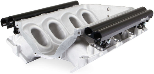 MANIFOLD BASE & RAILS,LS1/2/6,FF,DUAL FUEL INJECTOR,SATIN