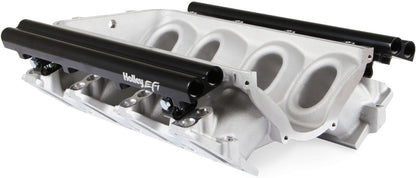 MANIFOLD BASE & RAILS,LS1/2/6,FF,DUAL FUEL INJECTOR,SATIN