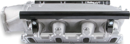 INTAKE MANIFOLD KIT,LS1/2/6 LO-RAM,FF,SATIN
