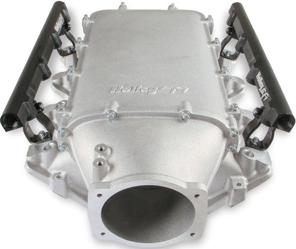 INTAKE MANIFOLD KIT,LS1/2/6 LO-RAM,FF,SATIN