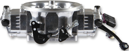 TERMX STEALTH 4500 THRO. BODY,8INJ,POLISHED