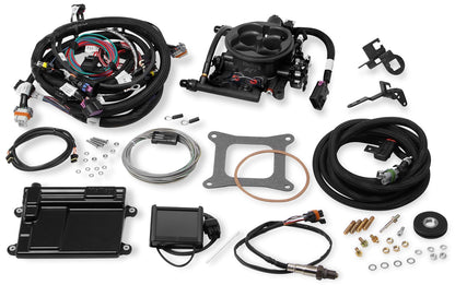 TERMINATOR EFI FUEL KIT,LSX 24X,GRAY TB