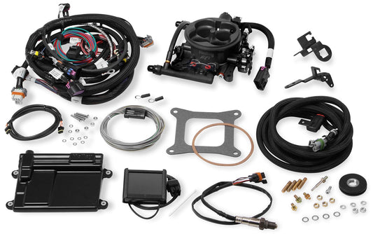 TERMINATOR EFI FUEL KIT,LSX 24X,GRAY TB