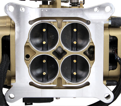 TERMINATOR STEALTH MASTER EFI KIT,GOLD