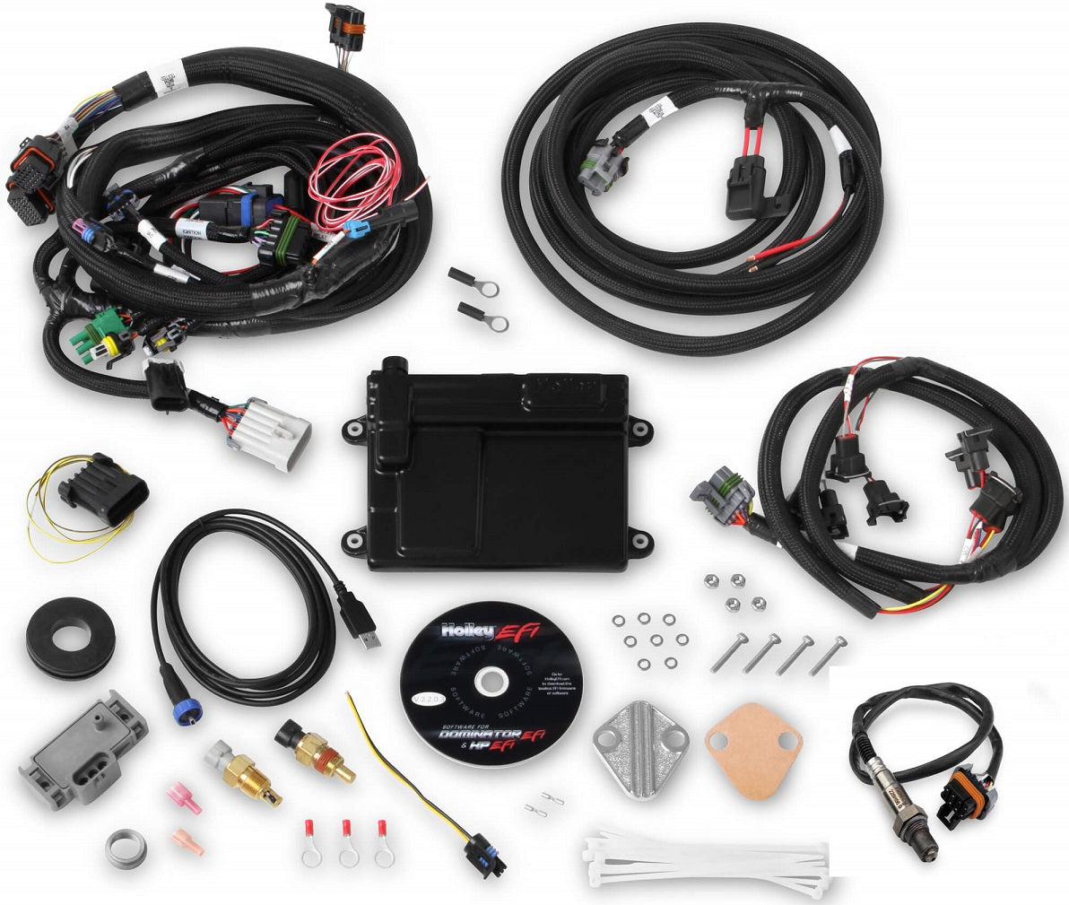HP EFI ECU & HARNESS KIT,FORD V8,BOSCH