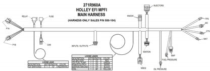 HP EFI ECU & HARNESS KIT,FORD V8,BOSCH