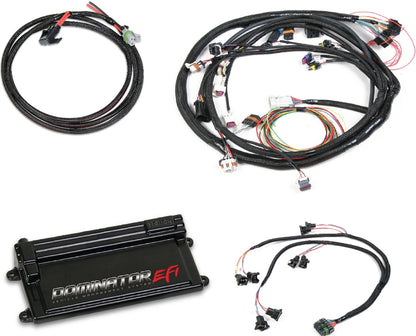 DOMINATOR EFI KIT,58X CRANK,4X CAM,LS2,EV1
