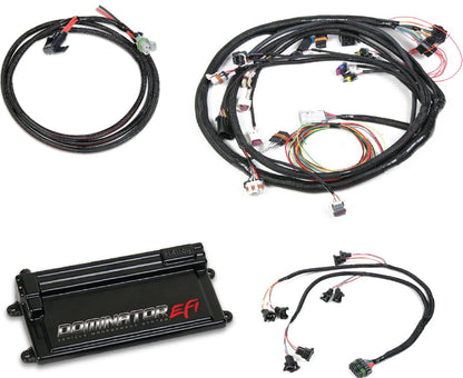 DOMINATOR EFI KIT,FORD ENGINE,EV1