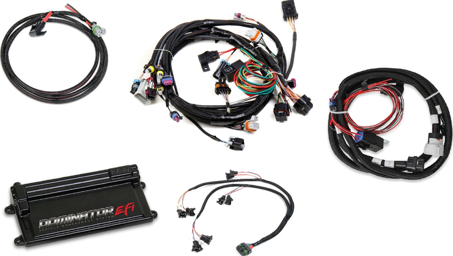 DOMINATOR EFI KIT,LS1 W/ TRANSMISSION CONTROL