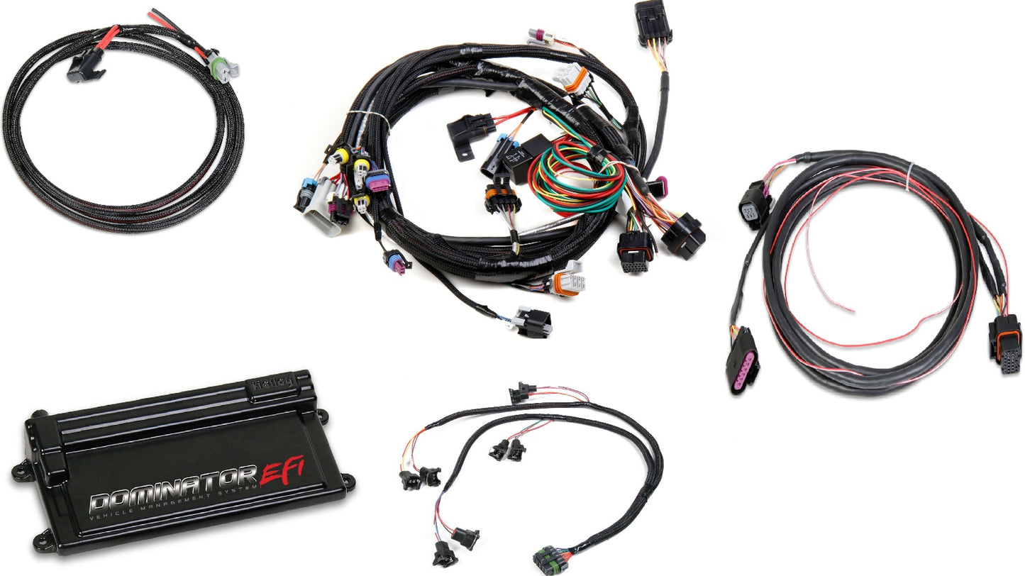 DOMINATOR EFI KIT,LS1 W/ TRANSMISSION,DBW