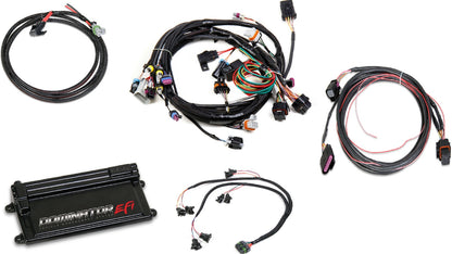 DOMINATOR EFI KIT,LS1 W/ TRANSMISSION,DBW