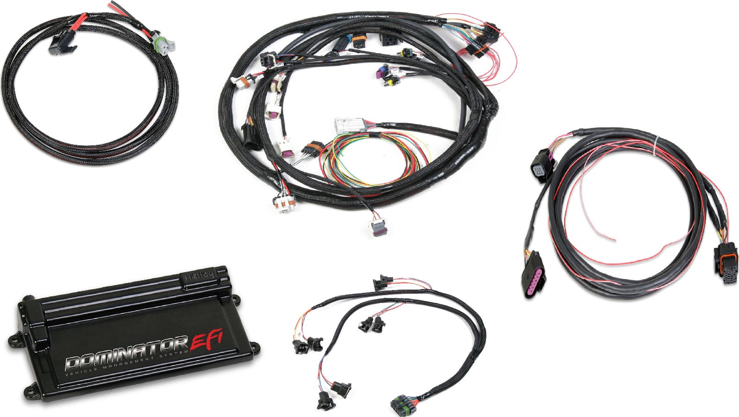DOMINATOR EFI KIT,LS2 W/ DBW