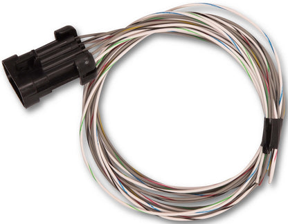 TERMINATOR X MPFI ECU,LS1,LS6,EV1