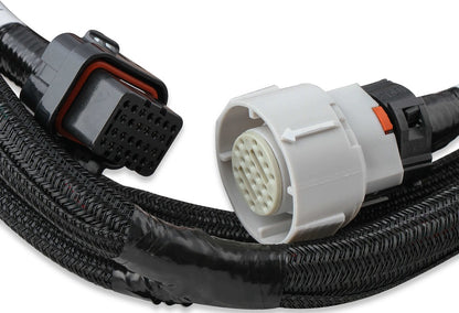 TERMINATOR X MAX MPFI ECU,LS1,LS6,EV6,TRANSMISSION