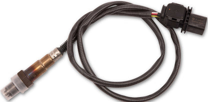 TERMINATOR X MAX MPFI ECU,EARLY TRCK,DBW