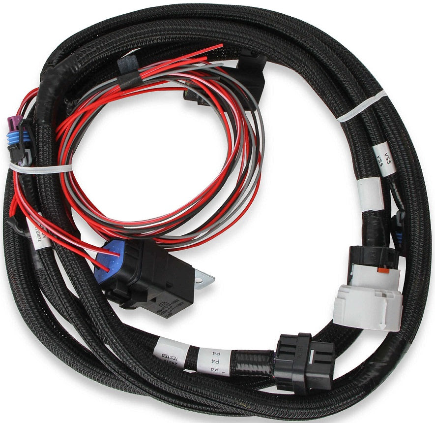 TERMINATOR X MAX MPFI ECU,LS1,DBW,TRANSMISSION