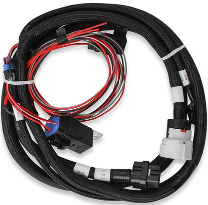 TERMINATOR X MAX MPFI ECU,LS2,DBW,TRANSMISSION