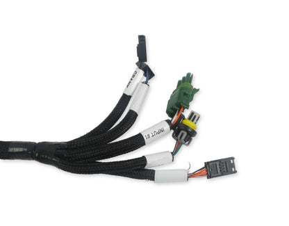 HARNESS,EFI BENCHTOP TEST HARNESS