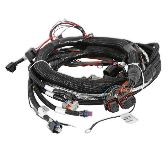 GEN V LT ENGINE MAIN HARNESS,TERMINATOR X V