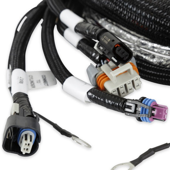 GEN V LT ENGINE MAIN HARNESS,TERMINATOR X V