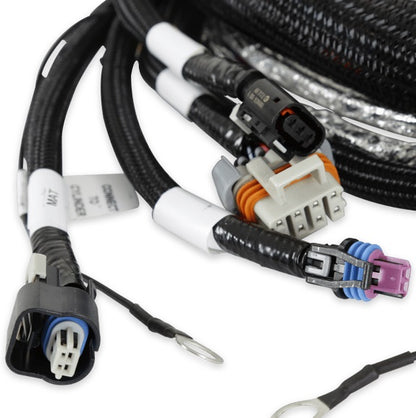 GEN V LT ENGINE MAIN HARNESS,TERMINATOR X V