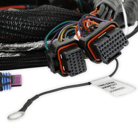 GEN V LT ENGINE MAIN HARNESS,TERMINATOR X V