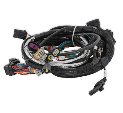 GEN V LT4 ENGINE MAIN HARNESS,TERMINATOR X V3