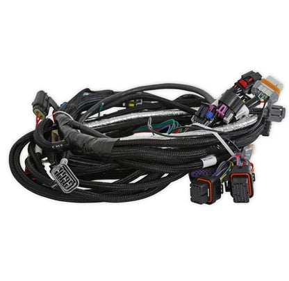 GEN V LT4 ENGINE MAIN HARNESS,TERMINATOR X V3