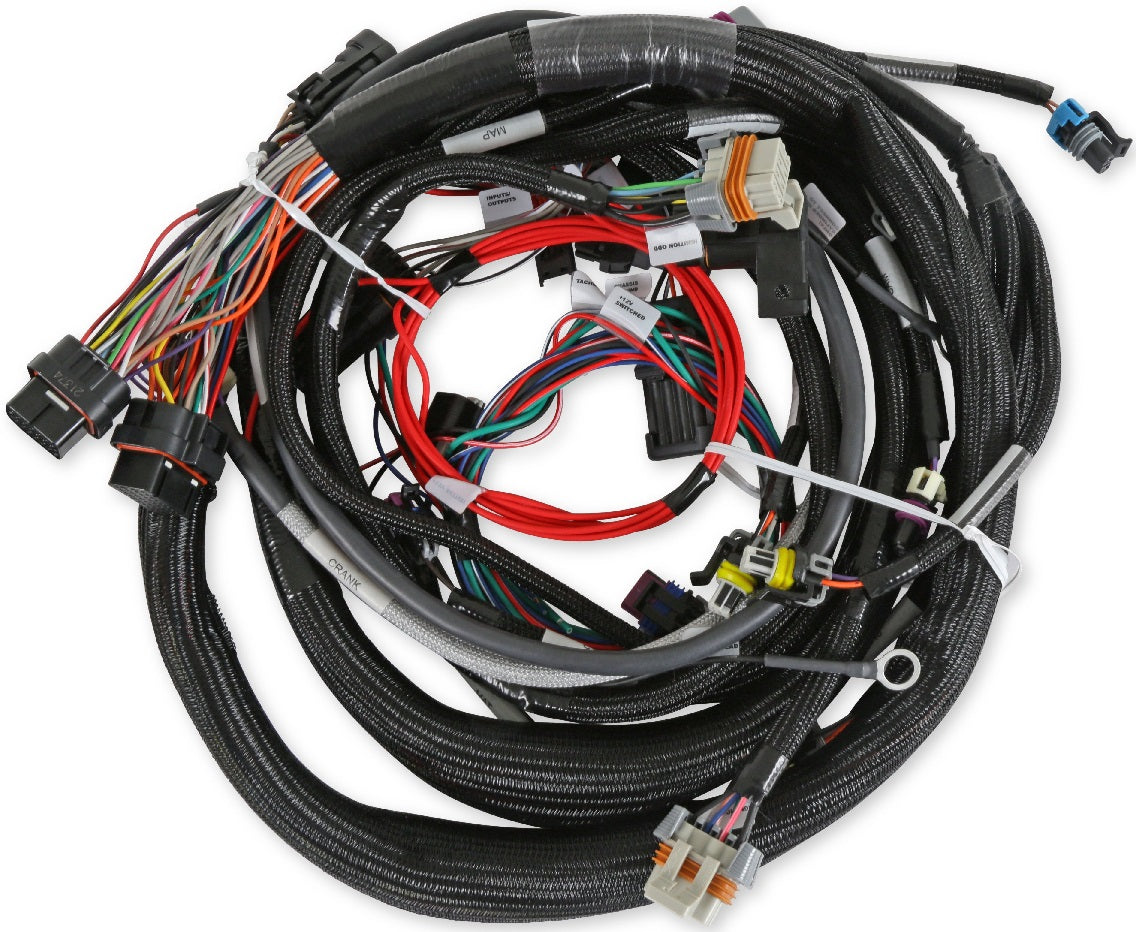 HOLLEY EFI MAIN HARNESS,LS1/6,24X,1X,EXTENDED