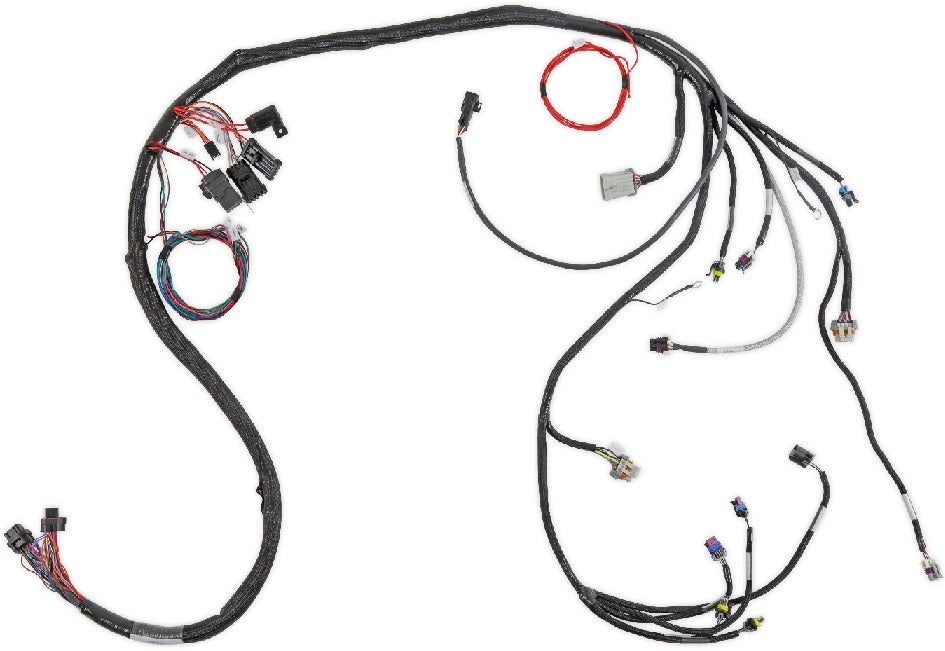 HOLLEY EFI MAIN HARNESS,LS1/6,24X,1X,EXTENDED