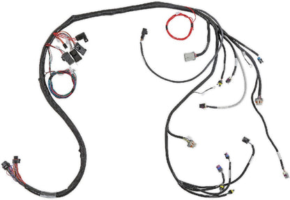 HOLLEY EFI MAIN HARNESS,LS1/6,24X,1X,EXTENDED