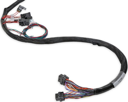 HOLLEY EFI MAIN HARNESS,LS1/6,24X,1X,EXTENDED