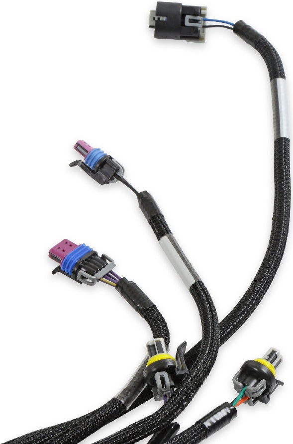 HOLLEY EFI MAIN HARNESS,LS1/6,24X,1X,EXTENDED