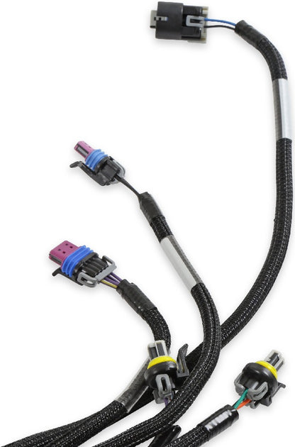 HOLLEY EFI MAIN HARNESS,LS1/6,24X,1X,EXTENDED